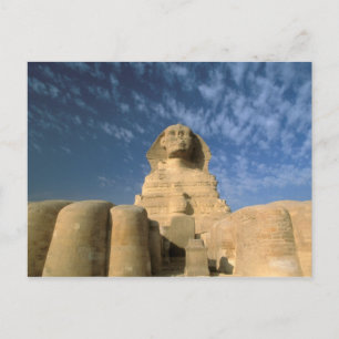 Afrika, Egypte, Caïro, Giza Plateau. Sfinx Briefkaart