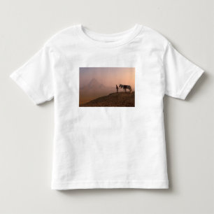 Afrika, Egypte, Caïro, Gizeh, Gizeh piramides bij Kinder Shirts