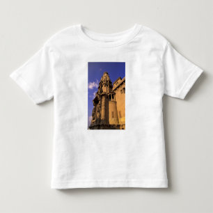 Afrika, Egypte, Caïro, Heliopolis. Baron's Kinder Shirts
