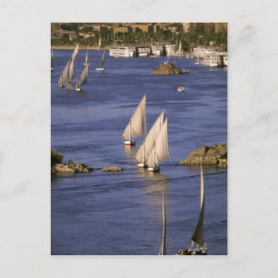 Afrika, Egypte, Opper-Egypte, Aswan. Feluccas Briefkaart