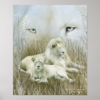 Afrika - geest van het Poster van de White Lion Ar