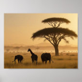 AFRIKA IN DE MIST POSTER (Voorkant)