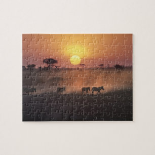 Afrika, Kenia, Amboseli NP. Zebra's lopen naar de Legpuzzel