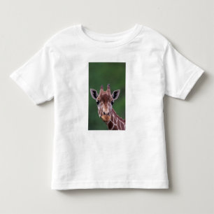 Afrika, Kenia, Impala Ranch. Netvormig Kinder Shirts