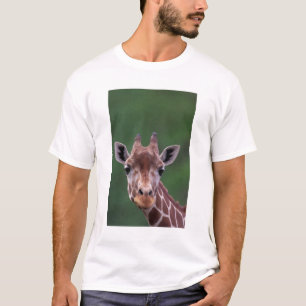 Afrika, Kenia, Impala Ranch. Netvormig T-shirt