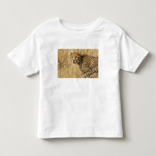 Afrika. Kenia. Jachtluipaard in Nationaal park Sam Kinder Shirts