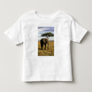 Afrika, Kenia, Maasai Mara. Een olifant in de Kinder Shirts