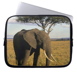Afrika, Kenia, Maasai Mara. Een olifant in de Laptop Sleeve