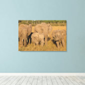 Afrika, Kenia, Masai Mara. Afrikaanse olifant Canvas Afdruk (Insitu (Houten vloer))