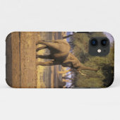 Afrika, Kenia, Masai Mara. Elephant (Loxodonta) Case-Mate iPhone Case (Achterkant (horizontaal))