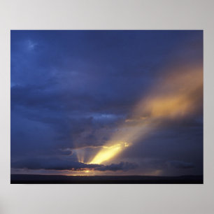 Afrika, Kenia, Masai Mara Game Reserve, instelling Poster
