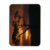 Afrika, Kenia, Masai Mara Game Reserve, Vestiging Magneet (Verticaal)