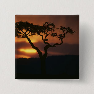 Afrika, Kenia, Masai Mara Game Reserve, Zonsonderg Vierkante Button 5,1 Cm