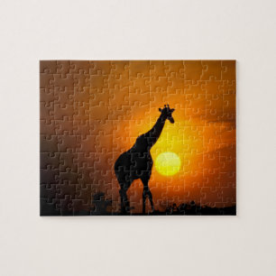 Afrika, Kenia, Masai Mara. Giraffe (Giraffa camelo Legpuzzel