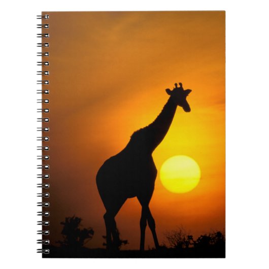 Afrika, Kenia, Masai Mara. Giraffe (Giraffe) Notitieboek (Voorkant)