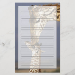 Afrika, Kenia, Masai Mara. Giraffen (Giraffa Briefpapier