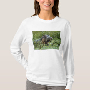 Afrika, Kenia, Masai Mara NR. Een nijlpa-moeder T-shirt