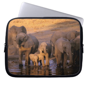 Afrika, Kenia, Masai Mara. Olifanten (Loxodonta Laptop Sleeve