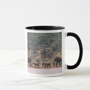 Afrika, Kenia, Nanyuki, Mpala. Afrikaans Mok