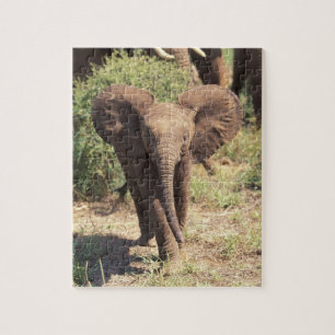 Afrika, Kenia, Nationaal park Amboseli. Afrikaanse Legpuzzel