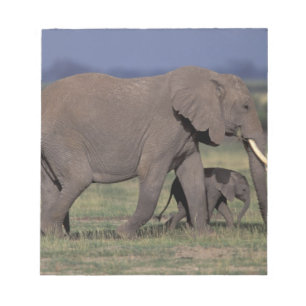 Afrika, Kenia, Nationaal park Amboseli. Afrikaanse Notitieblok