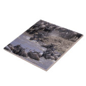 Afrika, Kenia, Nationaal Park Masai Mara. Tegeltje (Zijkant)