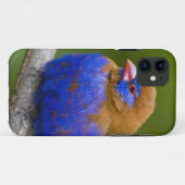 Afrika. Kenia. Paarse Grenadier Case-Mate iPhone Case (Achterkant (horizontaal))