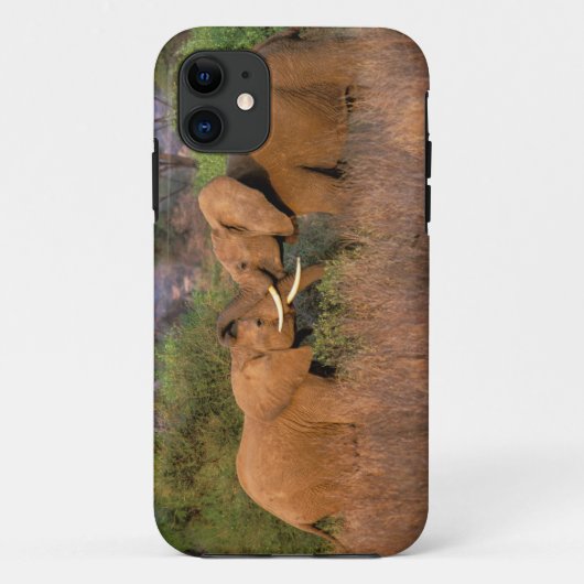 Afrika, Kenia, Samburu. Elephant-uitdaging Case-Mate iPhone Case (Achterkant)