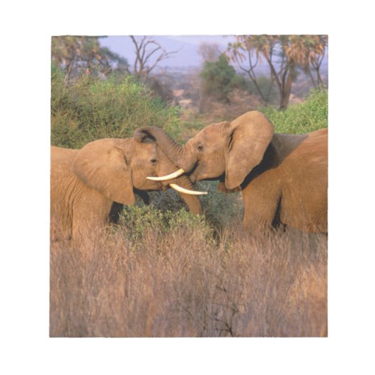 Afrika, Kenia, Samburu. Elephant-uitdaging Notitieblok (Voorkant)