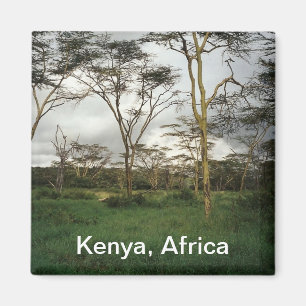 Afrika Kenia wildernis Magneet