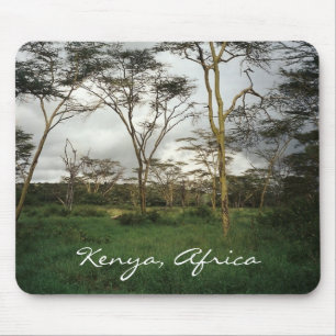Afrika Kenia wildernis Muismat