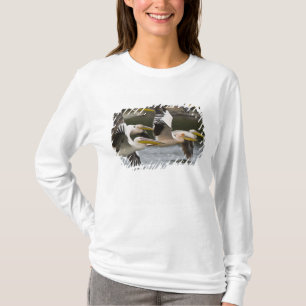 Afrika. Kenia. Witte pelikanen in vlucht bij het m T-shirt