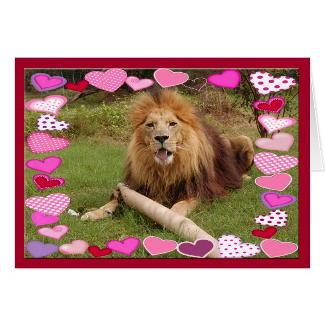 afrika-lion-00030-65x45 (Voorkant Horizontaal)