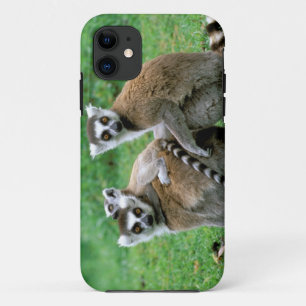 Afrika, Madagaskar, Antananarivo, Tsimbazaza iPhone 11 Hoesje
