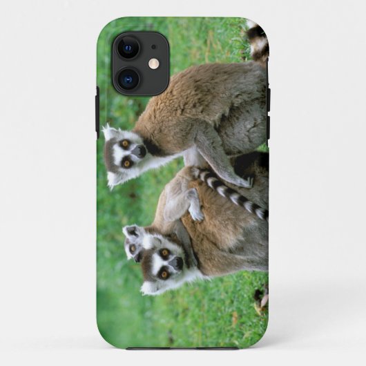 Afrika, Madagaskar, Antananarivo, Tsimbazaza Case-Mate iPhone Case (Achterkant)