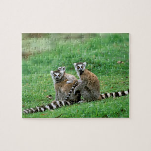 Afrika, Madagaskar, Antananarivo, Tsimbazaza Legpuzzel