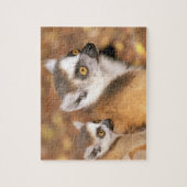 Afrika, Madagaskar, Berenty Private Reserve. Legpuzzel (Verticaal)