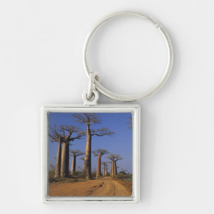 Afrika, Madagaskar, Morondava, Baobab Avenue. Sleutelhanger