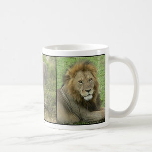 Afrika-Mok Koffiemok