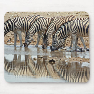 Afrika, Namibië, Etosha NP. Steppezebra Muismat