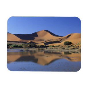 Afrika, Namibië, Namib Nationaal Park, Sossusvlei  Magneet