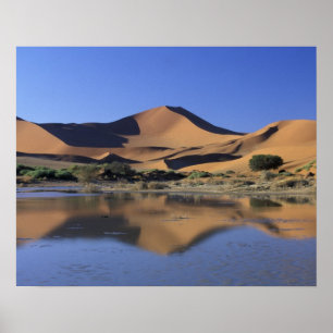 Afrika, Namibië, Namib Nationaal Park, Sossusvlei Poster
