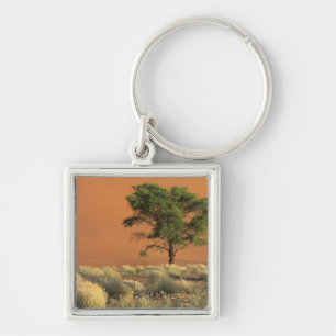 Afrika, Namibië, Namib Nationaal Park, Sossusvlei Sleutelhanger