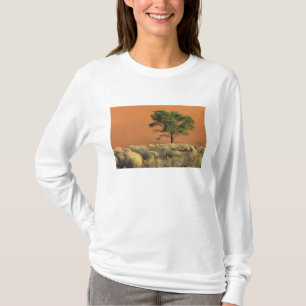 Afrika, Namibië, Namib Nationaal Park, Sossusvlei T-shirt