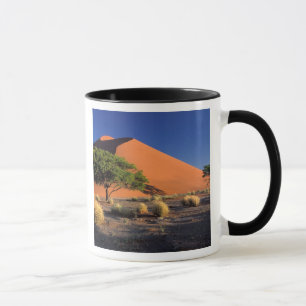 Afrika, Namibië, Namib-Naukluff Park, Sossosvlei Mok