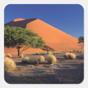 Afrika, Namibië, Namib-Naukluff Park, Sossosvlei Vierkante Sticker