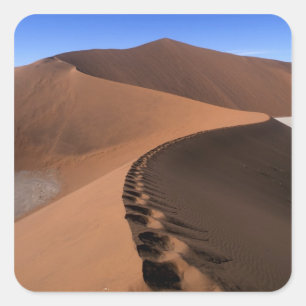 Afrika, Namibië, Namib Naukluft Nationaal Park, 2 Vierkante Sticker