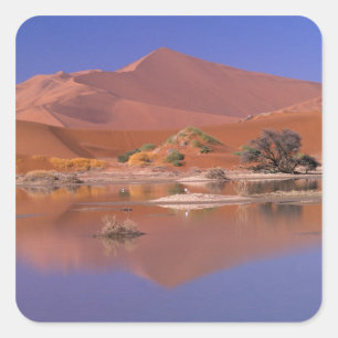 Afrika, Namibië. Namib-Naukluft Park. 2 Vierkante Sticker