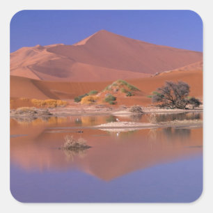 Afrika, Namibië. Namib-Naukluft Park. 2 Vierkante Sticker
