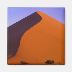 Afrika, Namibië, Namib NP, Sossusvlei, Zand Magneet